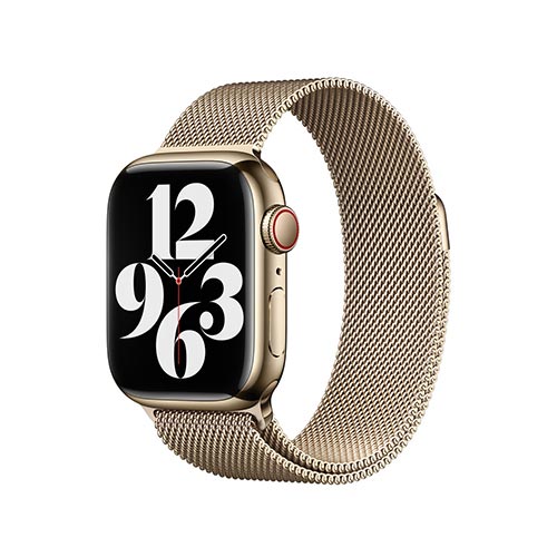 Milanese Loop - Image 2